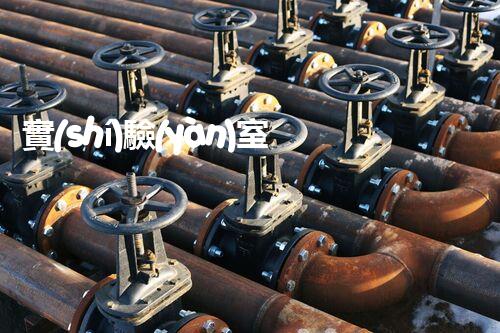 實(shí)驗(yàn)室綜合廢水處理設(shè)備的驚人效能與以后展望？